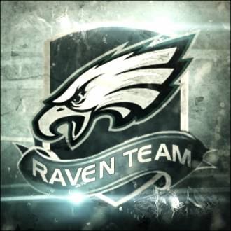 Raven Team LOGO